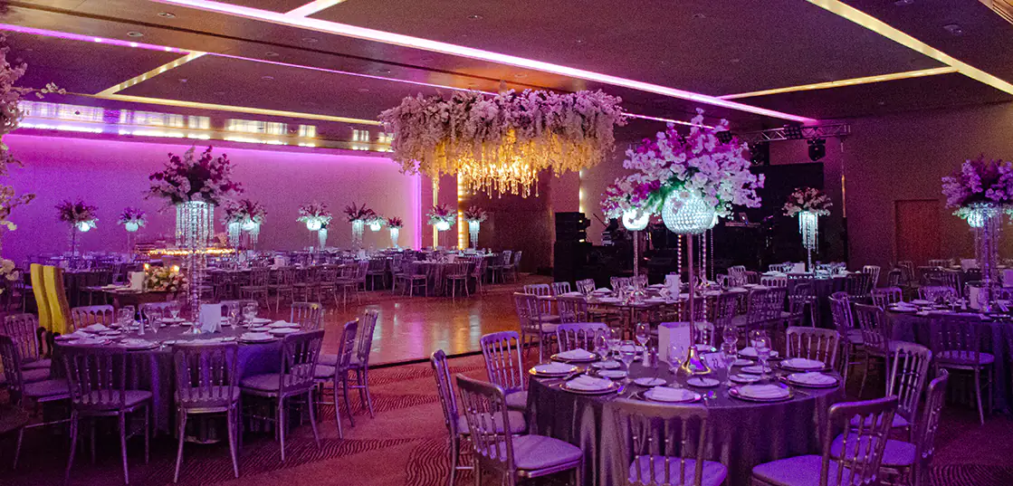 MS Milenium Monterrey Curio Collection by Hilton