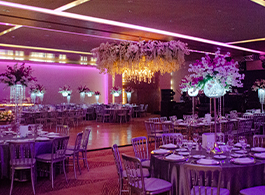 MS Milenium Monterrey Curio Collection by Hilton